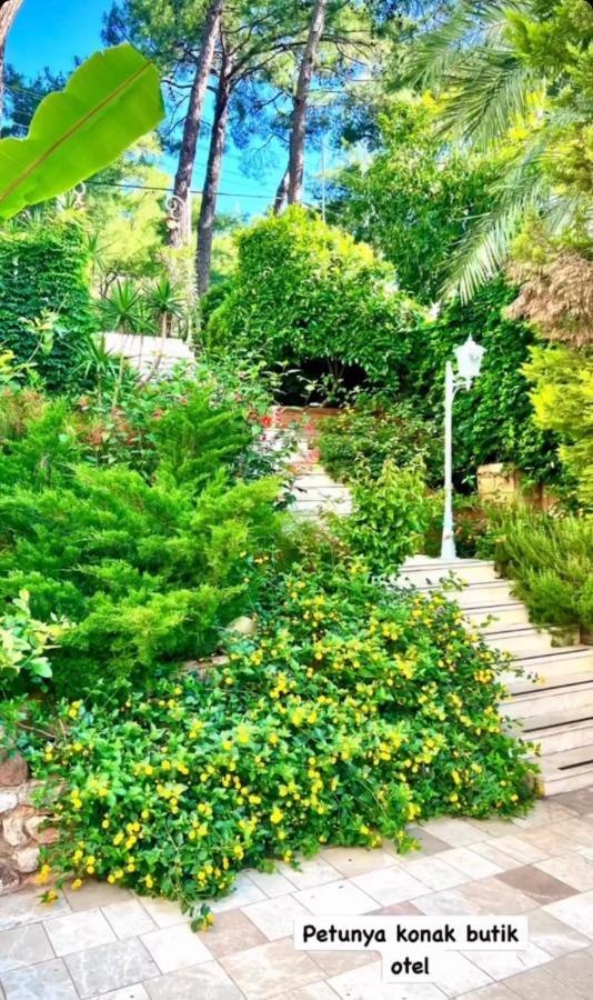 Petunya Konak Boutique Hotel İcmeler Εξωτερικό φωτογραφία