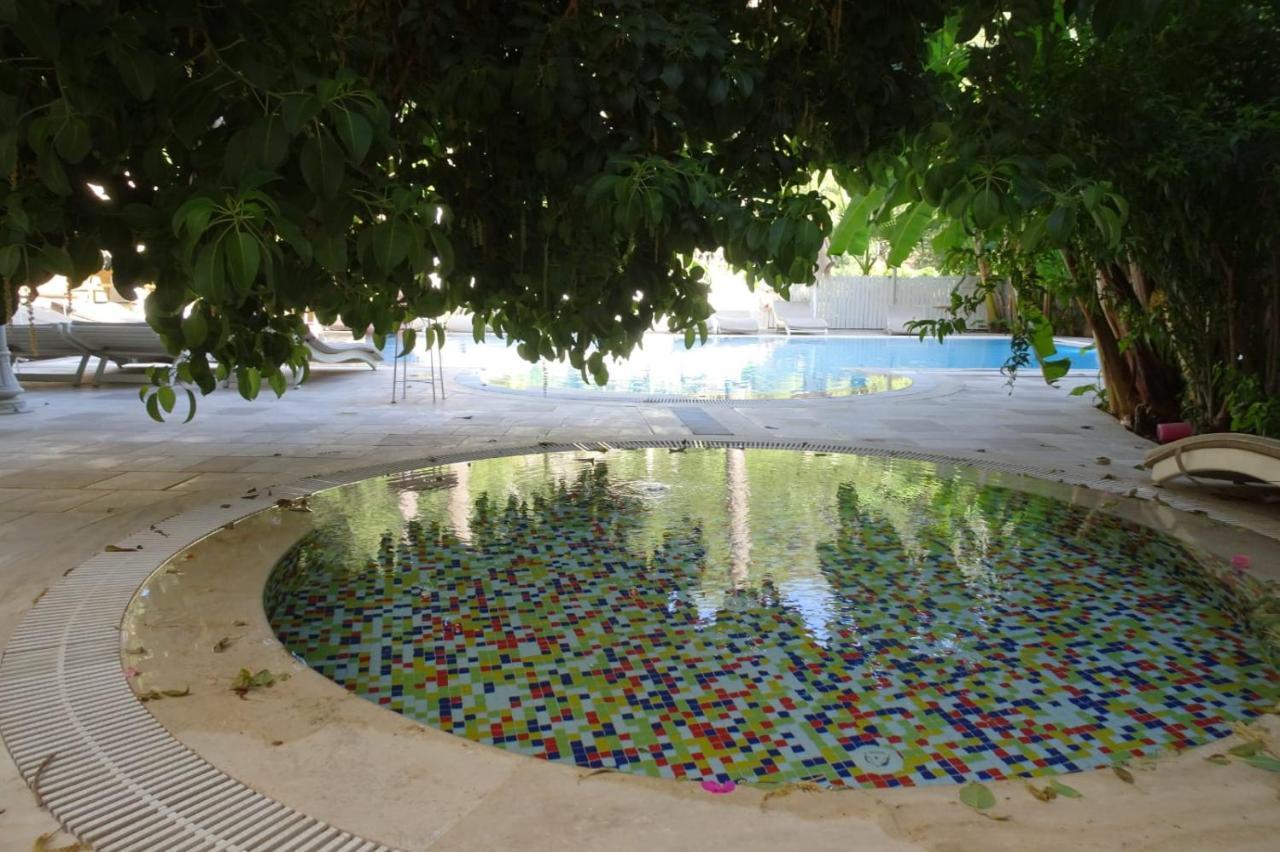 Petunya Konak Boutique Hotel İcmeler Εξωτερικό φωτογραφία